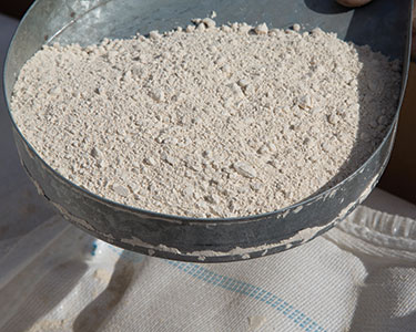 Saatgutverarbeiter hält mit Big-Bag-Austrageeinheit und flexiblen Schneckenförderern Staub zurück