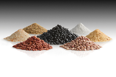 Goya Foods steigert die Produktion mit 16 automatischen Big Bag Entleerstationen